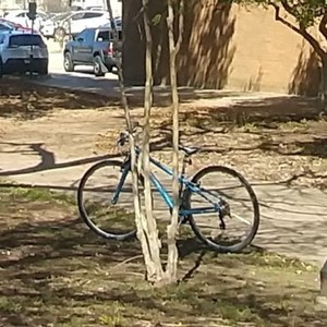 2010 Trek 7.2 FX WSD Blue and Silver, gray or bare metal