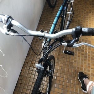 Specialized Crossroads Sport Green