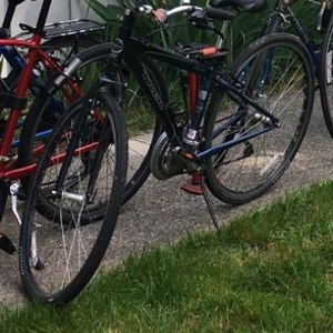 Trek Blue and Black