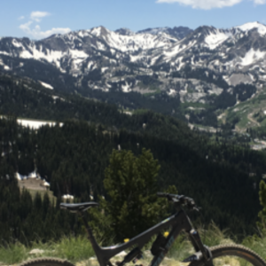 2017 Santa Cruz Bronson Black