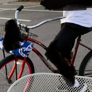 Huffy Red