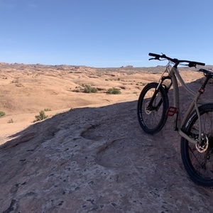 2020 REI DRT2.1 Brown