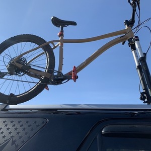 2020 REI DRT2.1 Brown