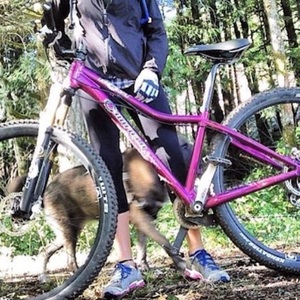 2013 Canfield Brothers Yelli screamy Purple