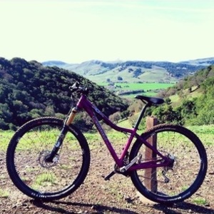 2013 Canfield Brothers Yelli screamy Purple