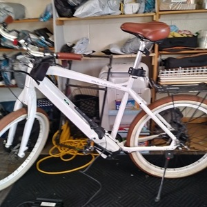 BULLS Bikes White