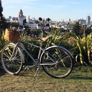 2013 PUBLIC bikes Diamond Silver, gray or bare metal and Red