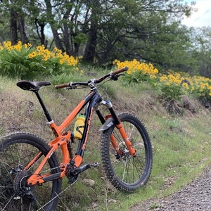 2018 Transition Bikes Scout Orange