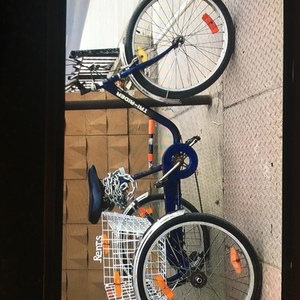 2020 Other Tri Rider Blue