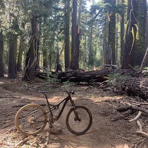 2014 Specialized Stumpjumper FSR Comp 29 Black