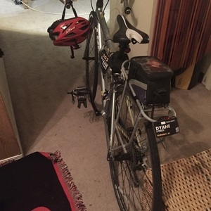 2014 Trek Lexa Silver, gray or bare metal