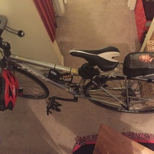 2014 Trek Lexa Silver, gray or bare metal