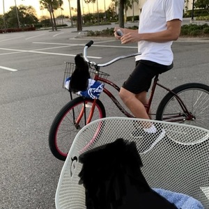 Huffy Red