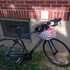 2015 Specialized 2015 SPECIALIZED SECTEUR DOUBLE Black and Blue