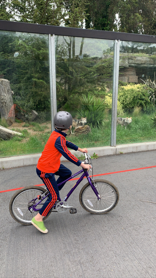 Bike photo