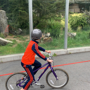 2019 Priority Bicycles Priority Start 20" Purple