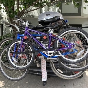 2019 Priority Bicycles Priority Start 20" Purple