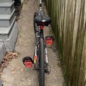2019 Mongoose Black