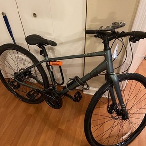 2020 Giant PGN20 Alight 3 Silver, gray or bare metal and Teal