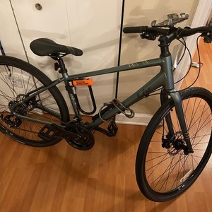 2020 Giant PGN20 Alight 3 Silver, gray or bare metal and Teal