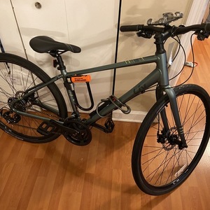 2020 Giant PGN20 Alight 3 Silver, gray or bare metal and Teal