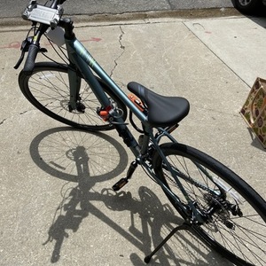 2020 Giant PGN20 Alight 3 Silver, gray or bare metal and Teal