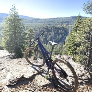 2019 Specialized Stumpjumper Carbon Comp Blue
