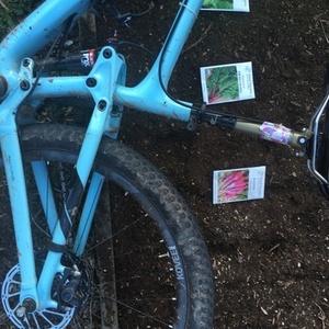 2016 Trek Trek Top Fuel Teal