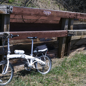 2008 Dahon mup24 White