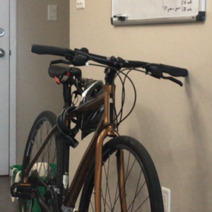 2017 MEC Brown and Yellow or Gold