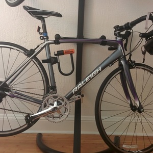 2014 Raleigh Capri 2 Silver, gray or bare metal, Purple, and White