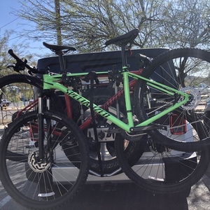 2020 Specialized Rockhopper Green