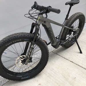 2020 Norco Bikes Bigfoot VLT1 Silver, gray or bare metal