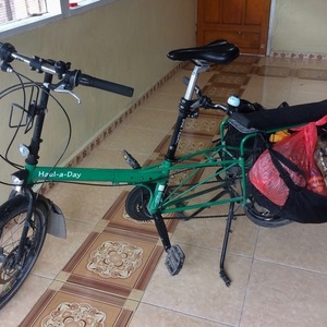 2016 Bike Friday Haul-A-Day Green