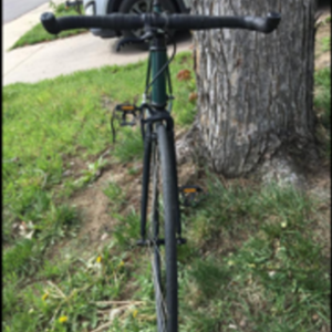 2019 Windsor The hour fixed gear Green