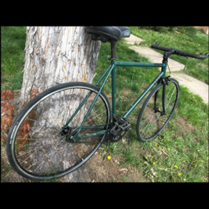 2019 Windsor The hour fixed gear Green