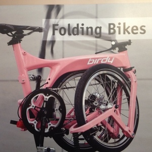 2010 Birdy Pink