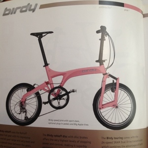 2010 Birdy Pink
