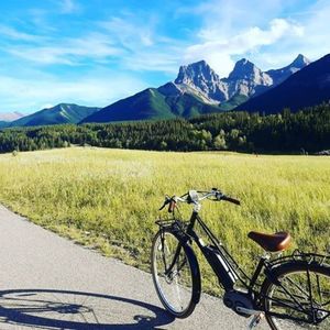 Electra Loft Go! 8i Ladies eBike Black
