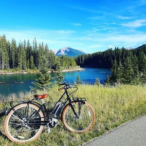 Electra Loft Go! 8i Ladies eBike Black