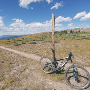 2017 Trek Fuel EX5 Black, Blue, and White