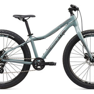 2020 Giant XTC JR 26+ Silver, gray or bare metal