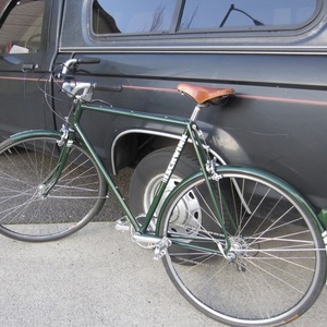 Schwinn Green