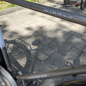 Batavus Winner Silver, gray or bare metal