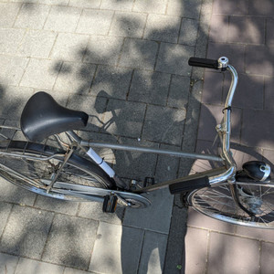 Batavus Winner Silver, gray or bare metal