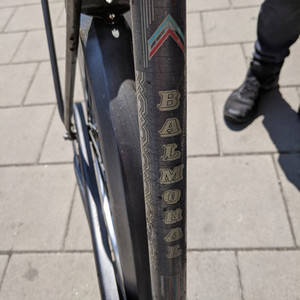 Batavus Winner Silver, gray or bare metal