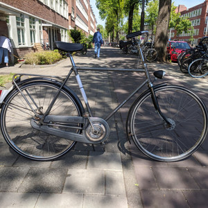 Batavus Winner Silver, gray or bare metal