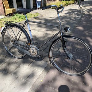 Batavus Winner Silver, gray or bare metal