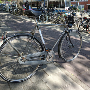 Batavus Winner Silver, gray or bare metal