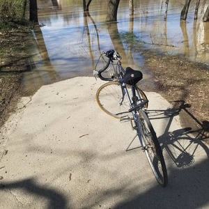Fuji Supreme Sl Blue